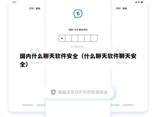 国内什么聊天软件安全（什么聊天软件聊天安全）