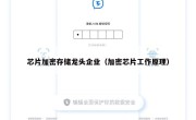 芯片加密存储龙头企业（加密芯片工作原理）