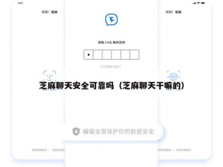 芝麻聊天安全可靠吗（芝麻聊天干嘛的）