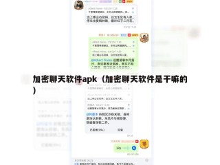 加密聊天软件apk（加密聊天软件是干嘛的）