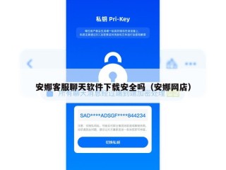 安娜客服聊天软件下载安全吗（安娜网店）
