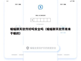 蝙蝠聊天软件好吗安全吗（蝙蝠聊天软件用来干嘛的）
