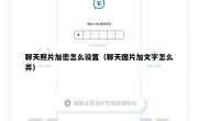 聊天照片加密怎么设置（聊天图片加文字怎么弄）