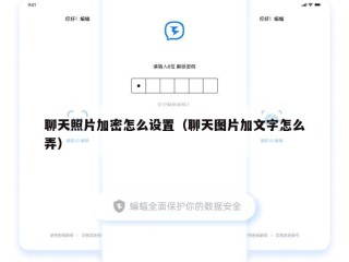 聊天照片加密怎么设置（聊天图片加文字怎么弄）