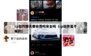 cp软件聊天要收费吗安全吗（cp软件是干嘛的）