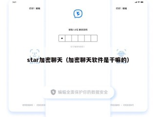 star加密聊天（加密聊天软件是干嘛的）