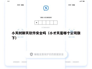 小天材聊天软件安全吗（小才天是哪个公司旗下）