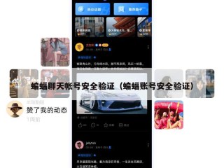 蝙蝠聊天帐号安全验证（蝙蝠账号安全验证）