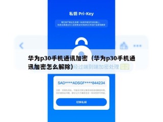 华为p30手机通讯加密（华为p30手机通讯加密怎么解除）
