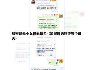 加密聊天小女孩表情包（加密聊天软件哪个最火）