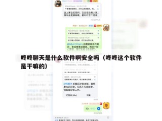 咚咚聊天是什么软件啊安全吗（咚咚这个软件是干嘛的）