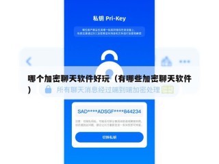 哪个加密聊天软件好玩（有哪些加密聊天软件）