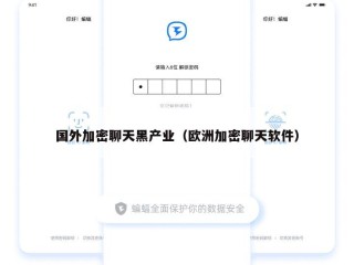 国外加密聊天黑产业（欧洲加密聊天软件）