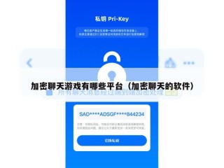 加密聊天游戏有哪些平台（加密聊天的软件）