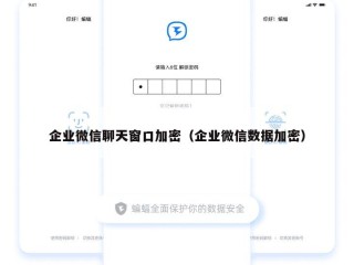 企业微信聊天窗口加密（企业微信数据加密）