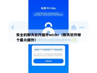 安全的聊天软件国外wickr（聊天软件哪个最火国外）