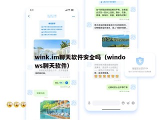 wink.im聊天软件安全吗（windows聊天软件）