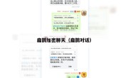 扁鹊加密聊天（扁鹊对话）