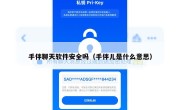 手伴聊天软件安全吗（手伴儿是什么意思）