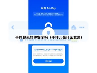 手伴聊天软件安全吗（手伴儿是什么意思）