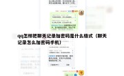 qq怎样把聊天记录加密码是什么格式（聊天记录怎么加密码手机）