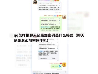 qq怎样把聊天记录加密码是什么格式（聊天记录怎么加密码手机）