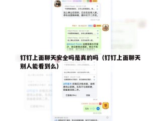 钉钉上面聊天安全吗是真的吗（钉钉上面聊天别人能看到么）