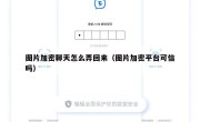 图片加密聊天怎么弄回来（图片加密平台可信吗）