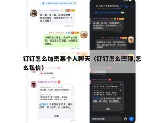 钉钉怎么加密某个人聊天（钉钉怎么密聊,怎么私信）