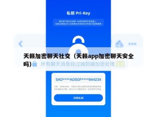 天籁加密聊天社交（天籁app加密聊天安全吗）