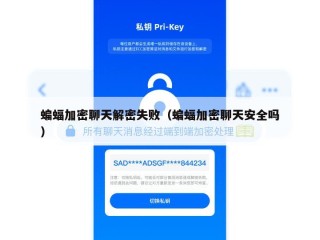 蝙蝠加密聊天解密失败（蝙蝠加密聊天安全吗）