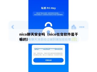 nico聊天安全吗（nico社交软件是干嘛的）