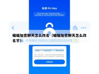蝙蝠加密聊天怎么改名（蝙蝠加密聊天怎么改名字）