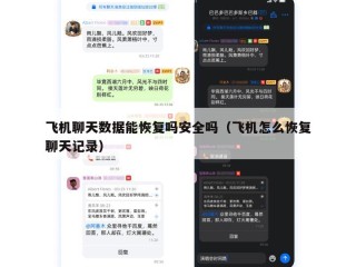 飞机聊天数据能恢复吗安全吗（飞机怎么恢复聊天记录）