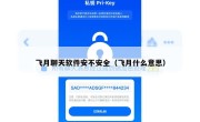 飞月聊天软件安不安全（飞月什么意思）