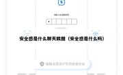 安全感是什么聊天截图（安全感是什么吗）