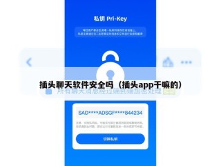 插头聊天软件安全吗（插头app干嘛的）