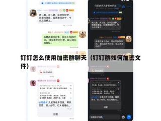 钉钉怎么使用加密群聊天（钉钉群如何加密文件）