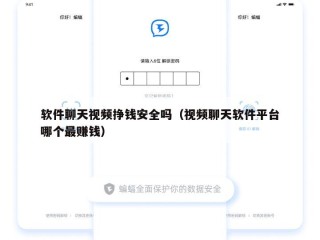 软件聊天视频挣钱安全吗（视频聊天软件平台哪个最赚钱）