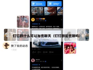 钉钉群什么可以加密聊天（钉钉群能密聊吗）