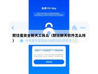 默往是安全聊天工具么（默往聊天软件怎么样）
