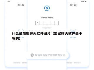 什么是加密聊天软件图片（加密聊天软件是干嘛的）