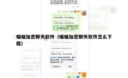 蝙蝠加密聊天软件（蝙蝠加密聊天软件怎么下载）
