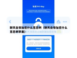 聊天自带加密什么意思啊（聊天自带加密什么意思啊苹果）