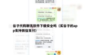 谷子代购聊天软件下载安全吗（买谷子的app支持微信支付）
