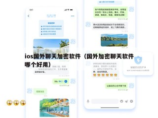 ios国外聊天加密软件（国外加密聊天软件哪个好用）