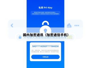 国内加密通讯（加密通信手机）