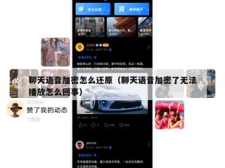 聊天语音加密怎么还原（聊天语音加密了无法播放怎么回事）