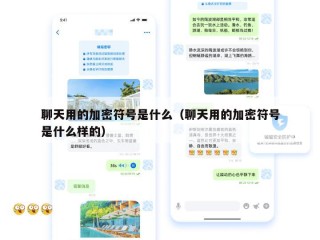 聊天用的加密符号是什么（聊天用的加密符号是什么样的）