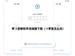 萝卜密聊软件流程图下载（卜箩蜜怎么吃）